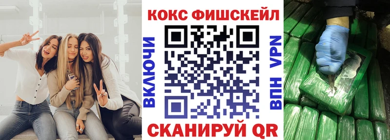 COCAIN Fish Scale Кисловодск