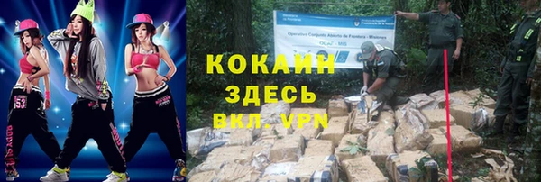 стафф Михайлов