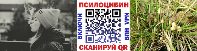 Купить  Кисловодск  Галлюциногенные грибы Psilocybe 